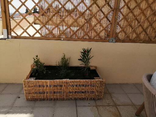 Zelu Apartamento Centro Da Guarda Luaran gambar